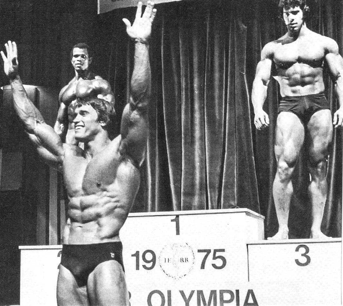 I Arnolds skugga – Hulken från New York