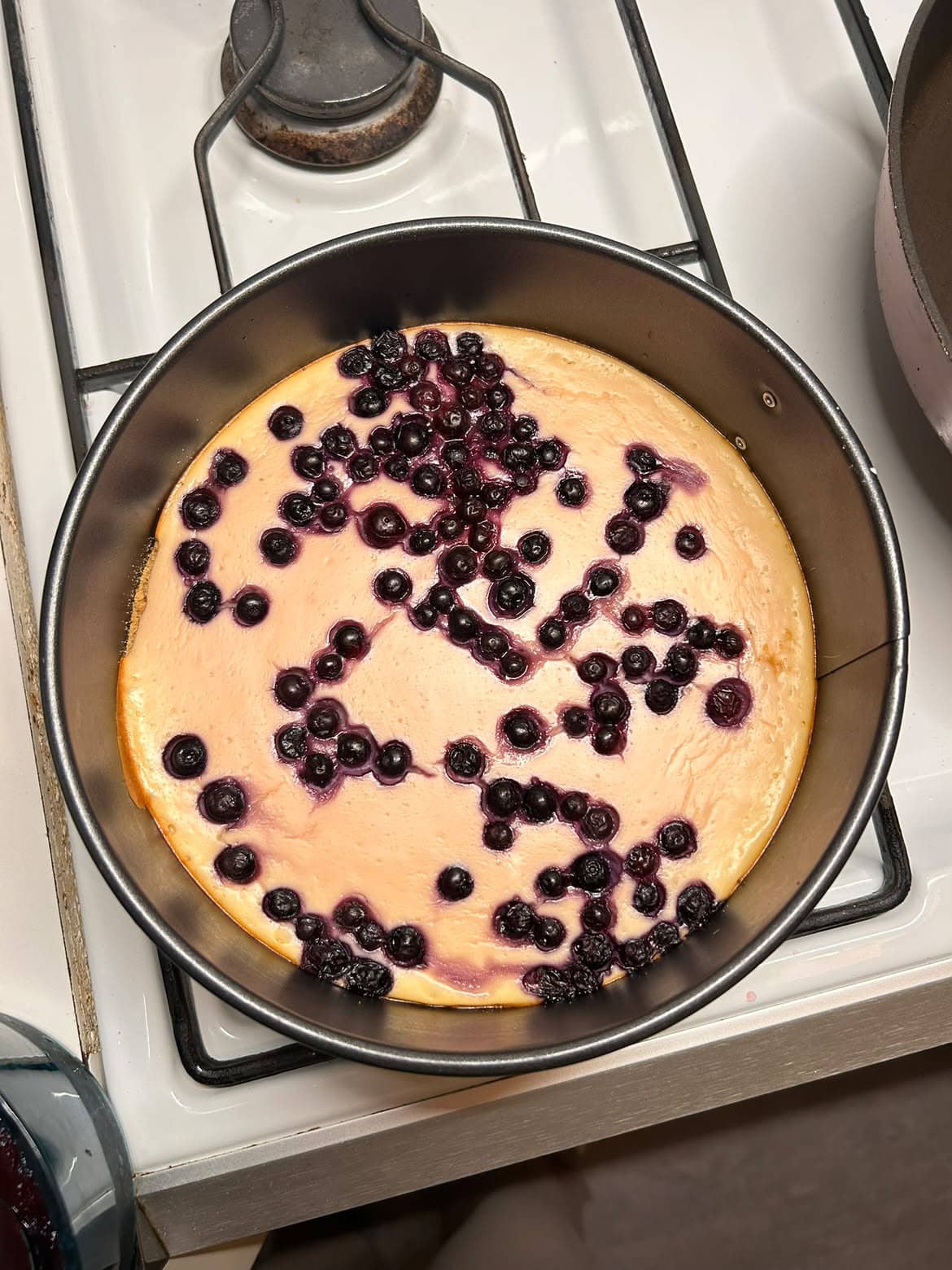 Proteinrik blåbärscheesecake