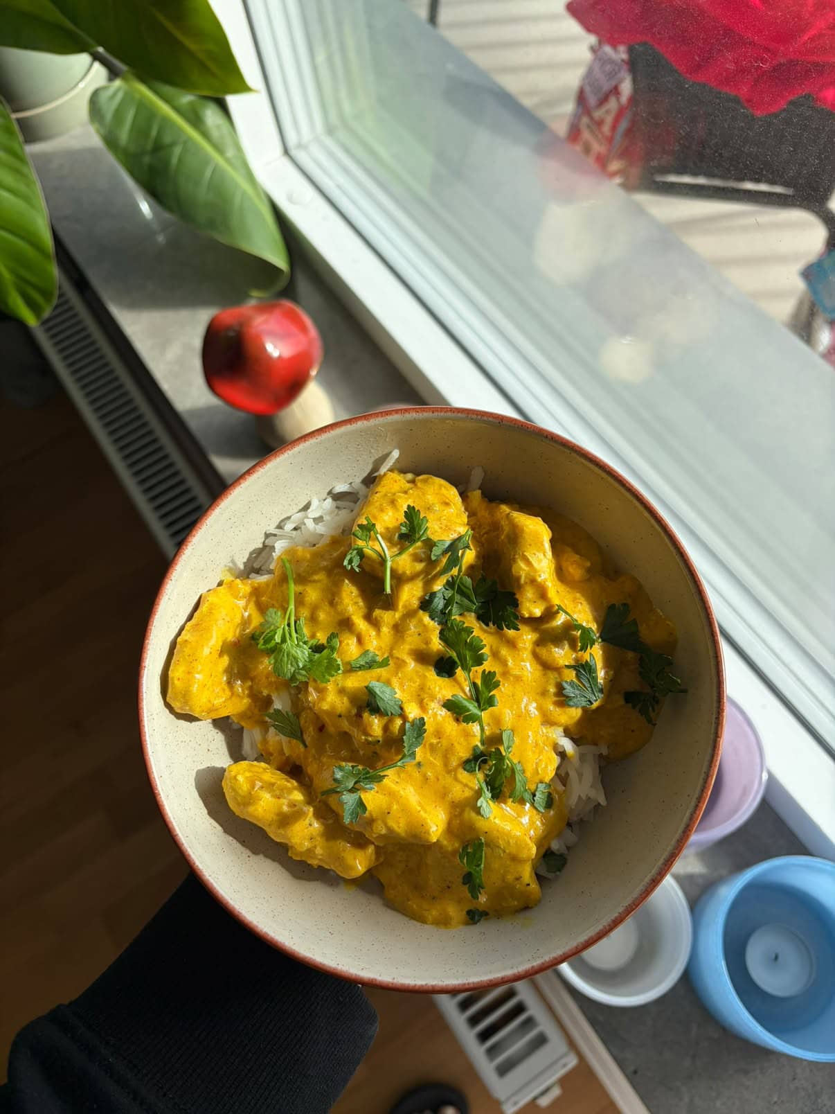 Proteinrik kycklinggryta med curry och ris