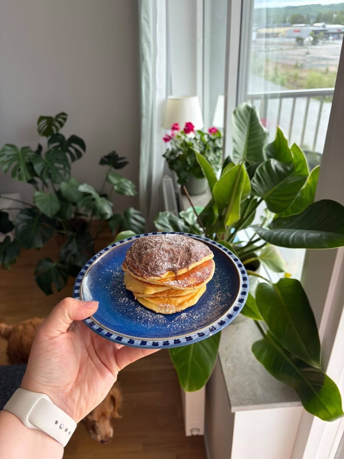 Proteinpannkakor med vanilj kasein vaniljdrömmar