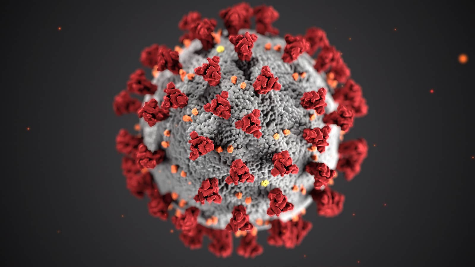 Information kring vaccinerna mot SARS-CoV-2 (aka coronaviruset)