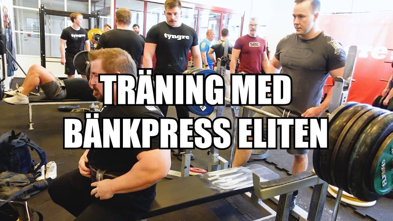 Bänkpresslandslaget tränar mot EM
