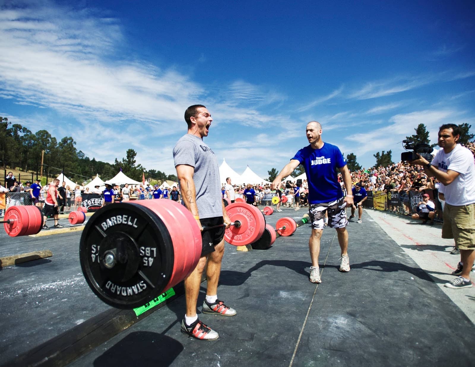 Goda gymformade julskinkor