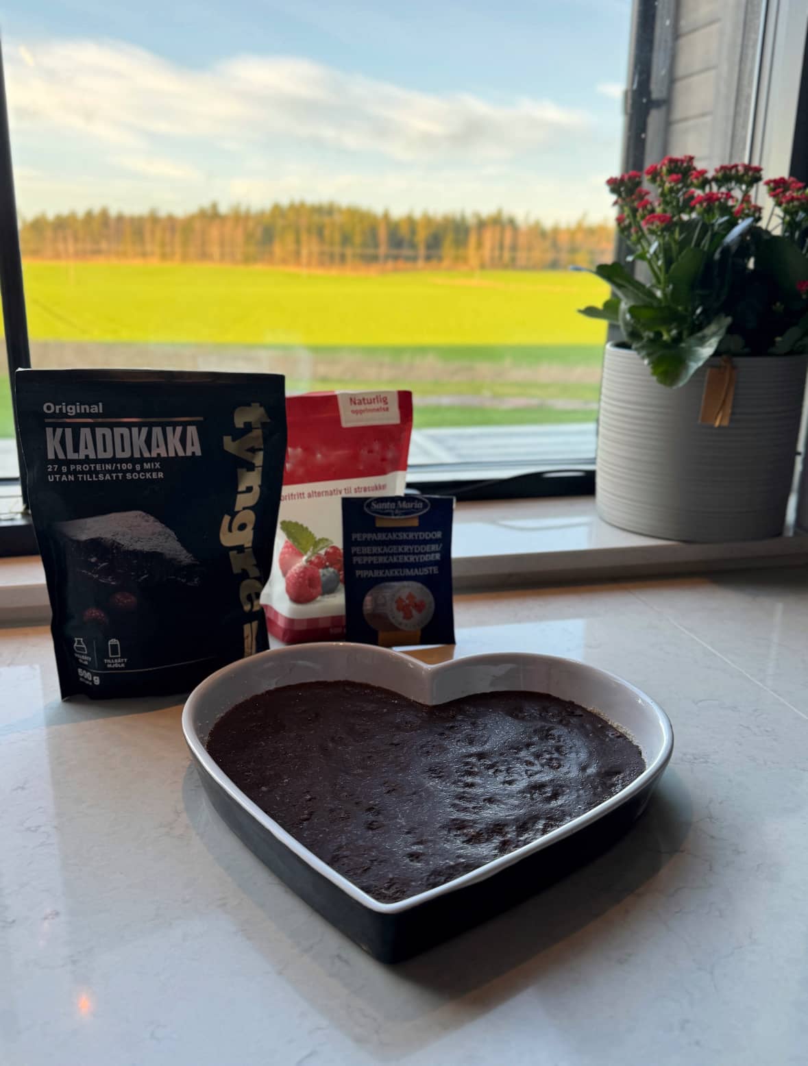 Pepparkakskladdkaka med protein bakmix kladdkaka