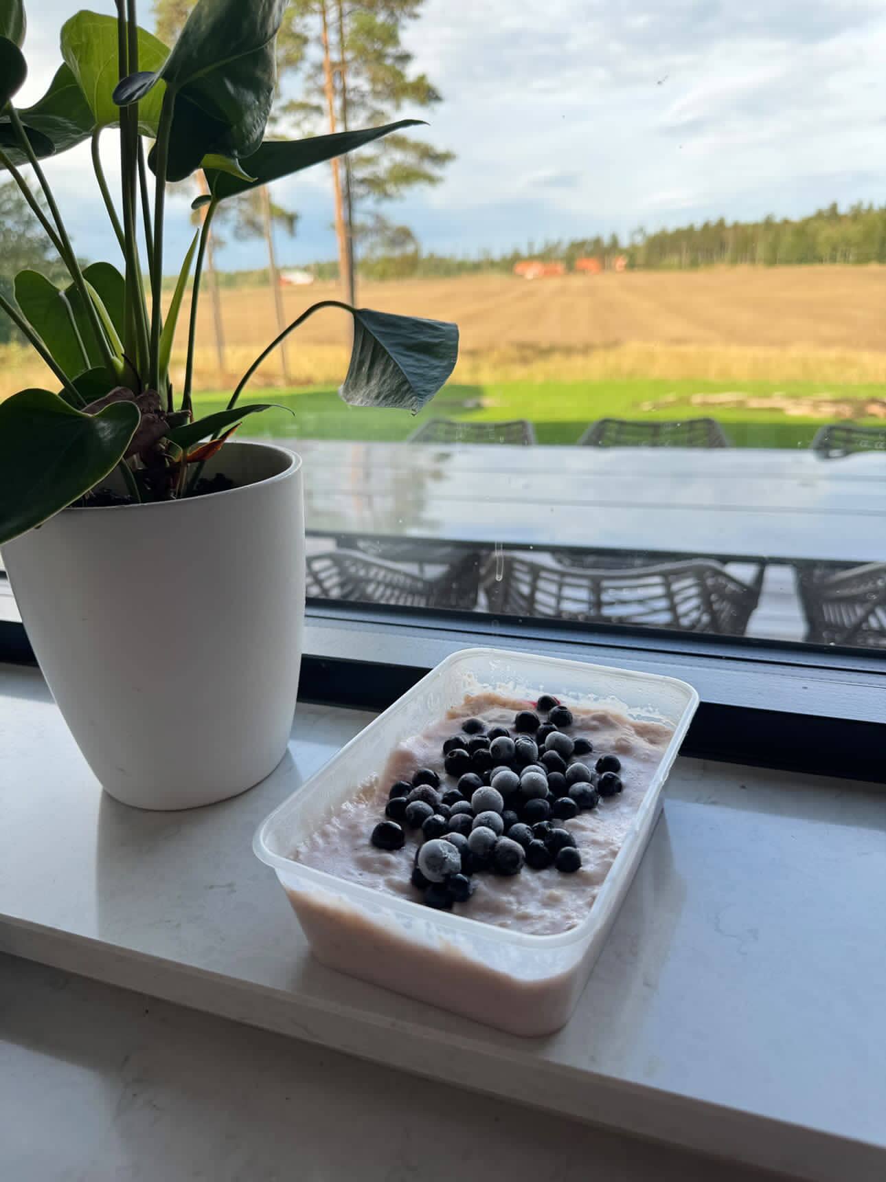 Proteingröt med vanilj- och blåbär kasein v2 blåbär 