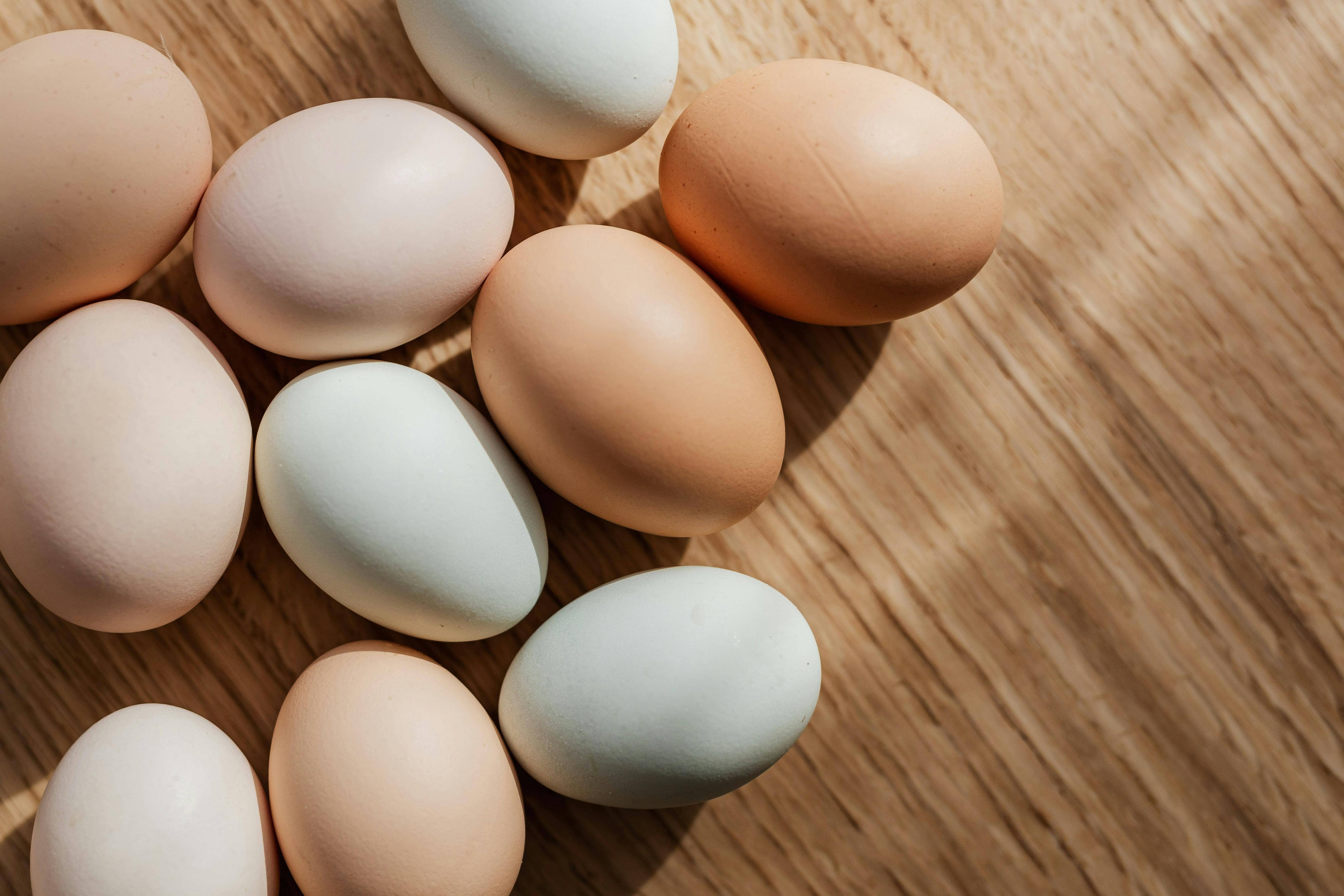 Protein – Kroppens byggstenar
