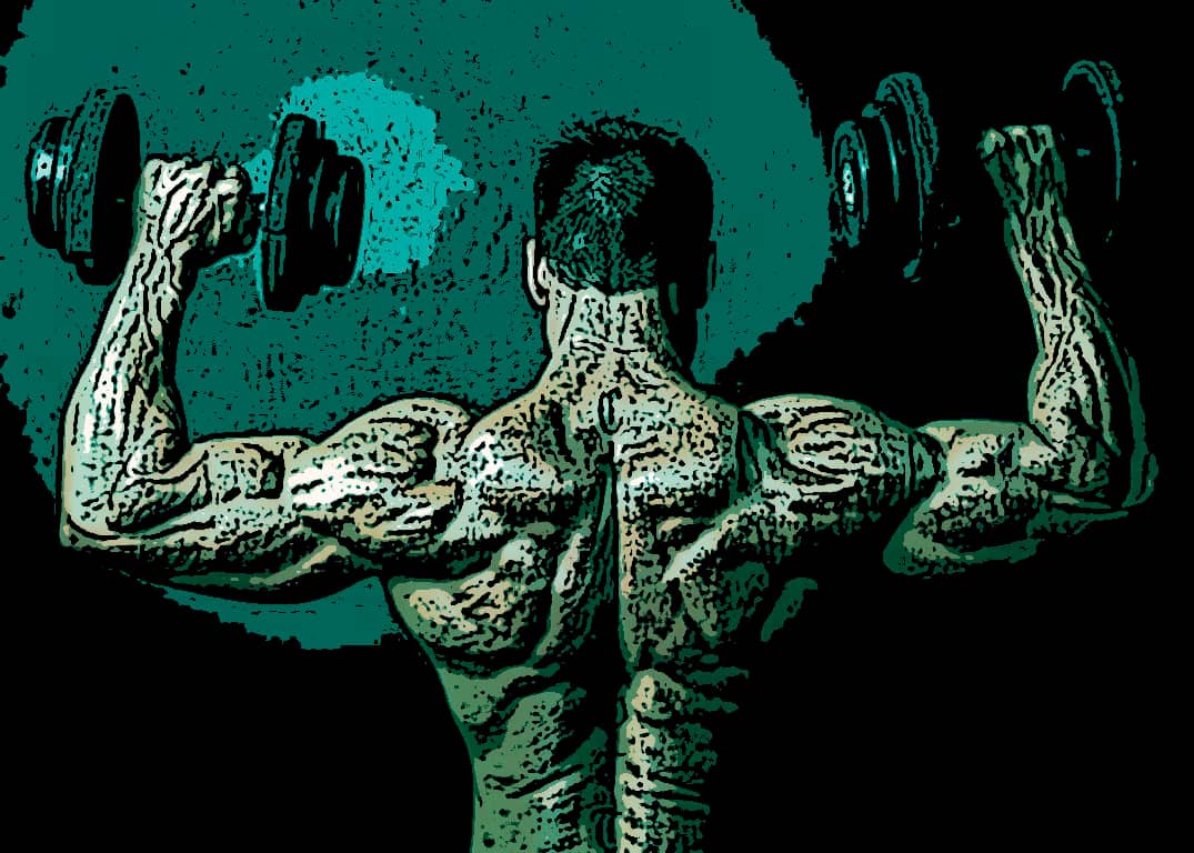 Proteinbehov för dig som vill bygga muskler
